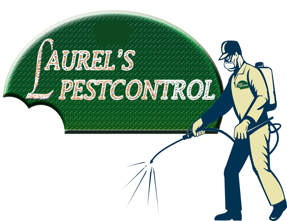 Laurel’s Pest Control 📞 Contact Info St Lucia Business Online